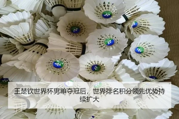 王楚钦世界杯男单夺冠后，世界排名积分领先优势持续扩大
